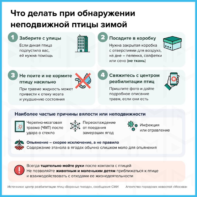 🥴Компанию пьяных свиристелей заботливо положил на скамейку житель Ногинска Жители считают, что пти