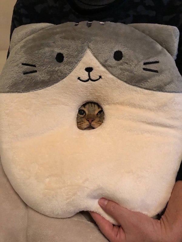 Пончек с начинкой :3