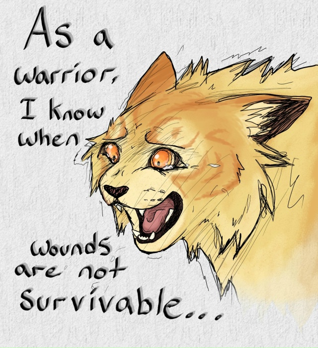 «Как воительница, я знаю, когда раны… не совместимы с ж...