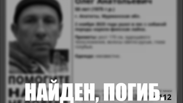 Ушедший в лес с собакой житель Апатитов погиб
Заверше?...