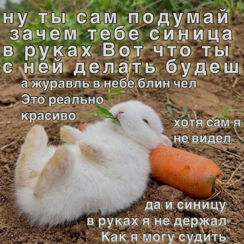 Ночная подборочка
Спать, режим