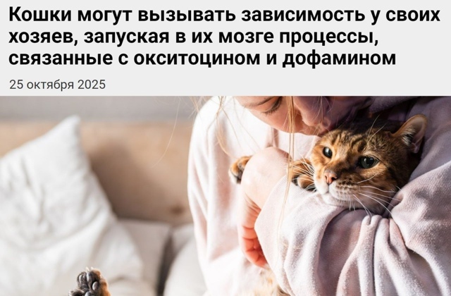🐱Кошки вызывают зависимость у своих хозяев, выяснили ...