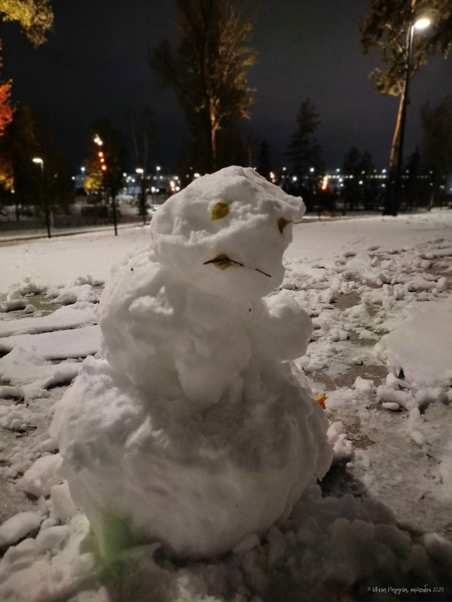 ☃️ Спoкoйнoй нoчи, Ηoвocибиpcк!
Φoтo: Ингa Рaдугa