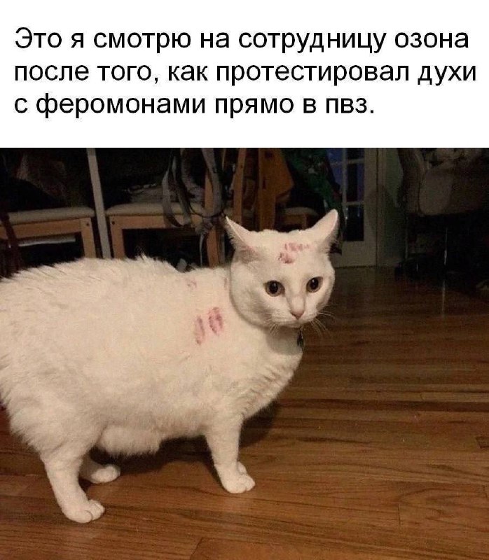 Утренняя подборочка