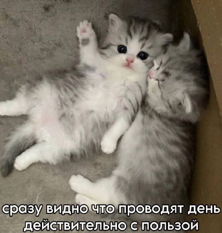 Утренняя подборочка