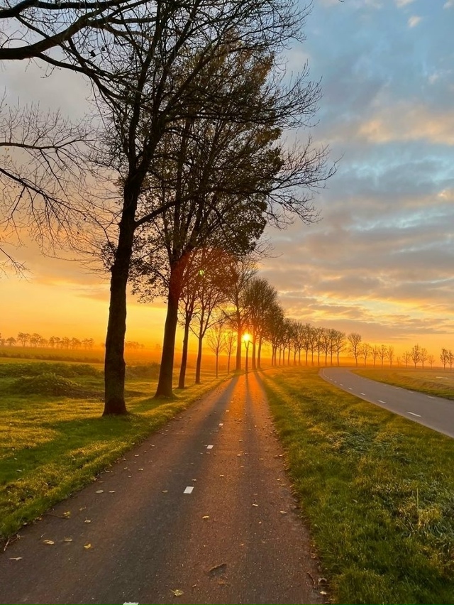Удивительно, что может сделать один луч солнца с душой ...