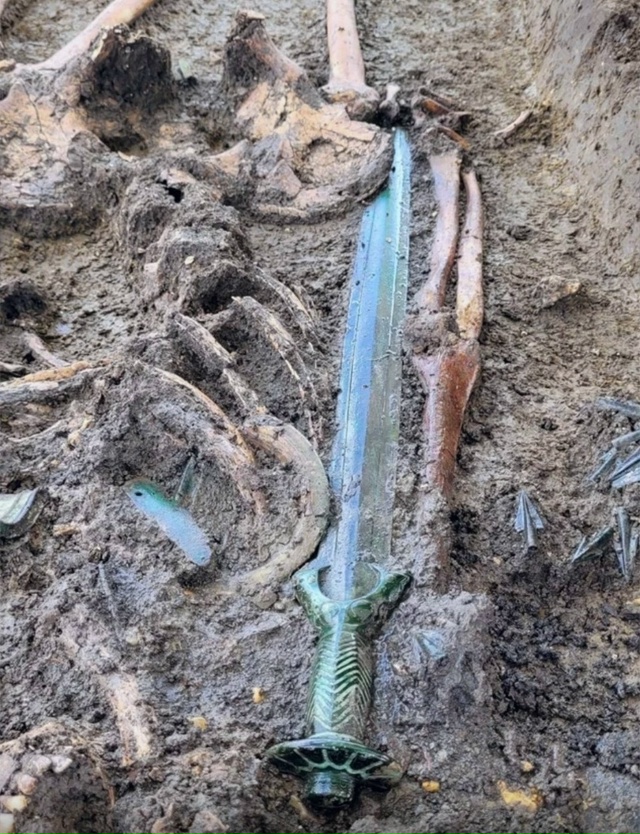 В Германии археологи откопали хорошо сохранившейся бр...