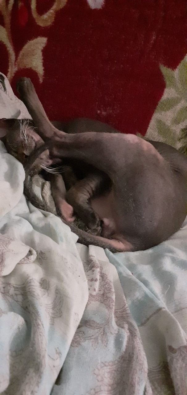 Уроки йоги от Саймона