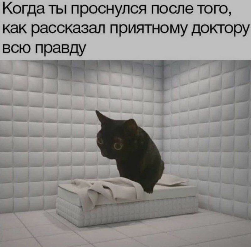Ночная подборочка
Спать, режим