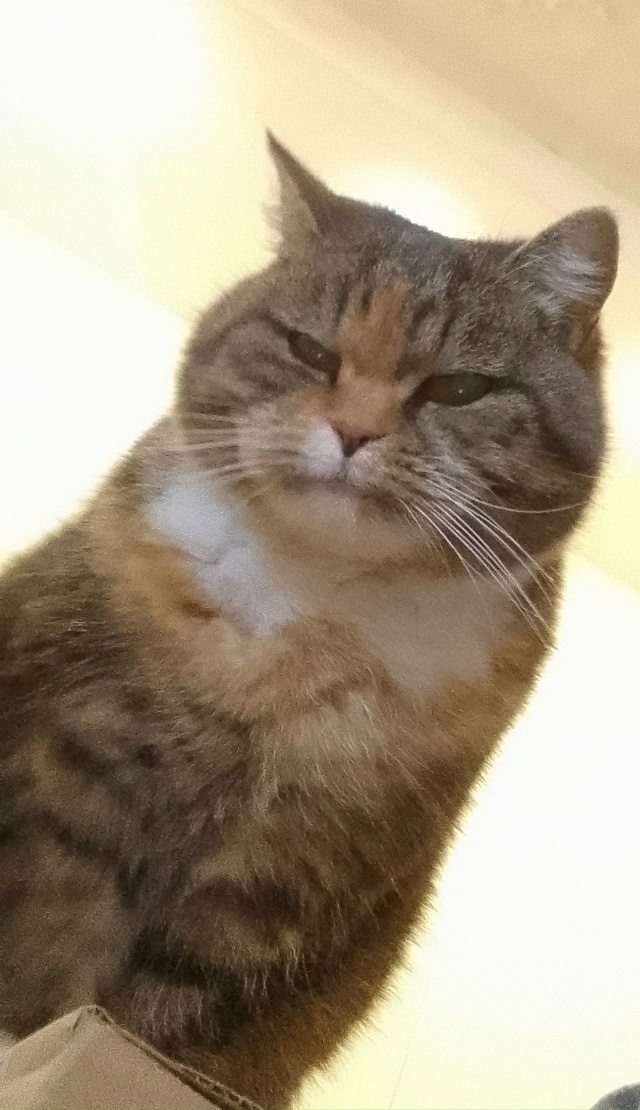 Зина и настроение!)))