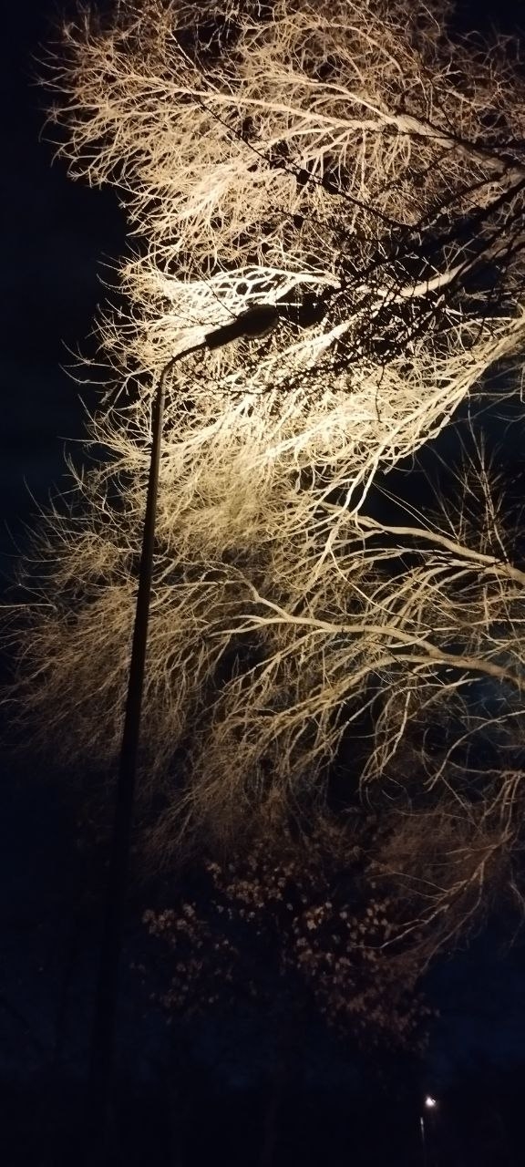 😳Значит идём и гуляем с подругой, и видим, что фонарь в...