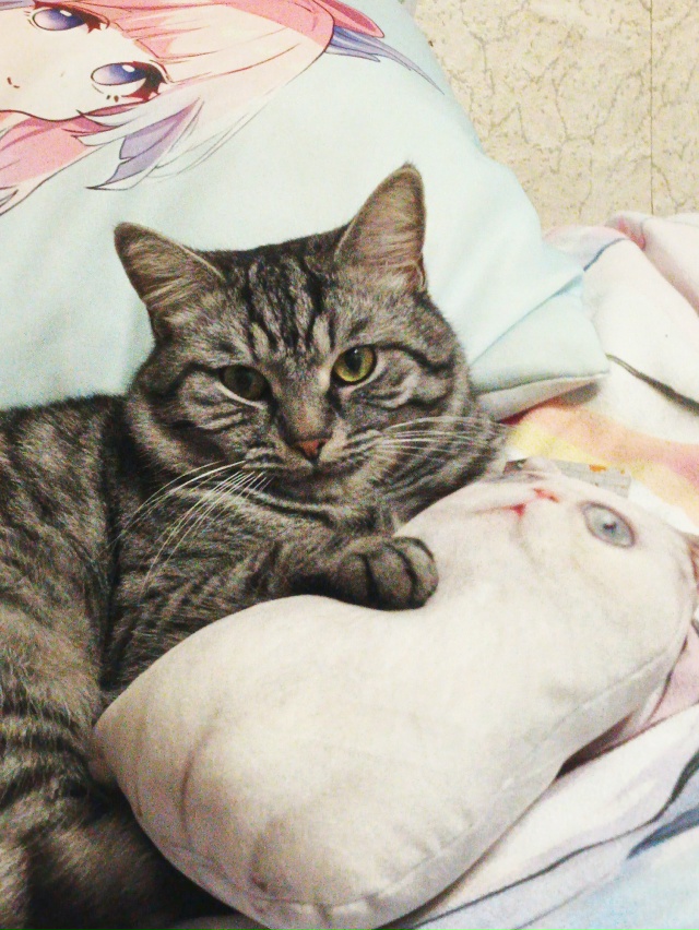 Фантик и его дама❤️