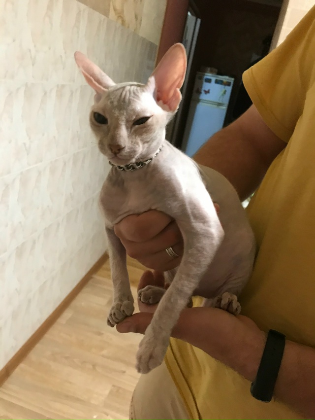 Мотя 2 года )) Холода наступили ((