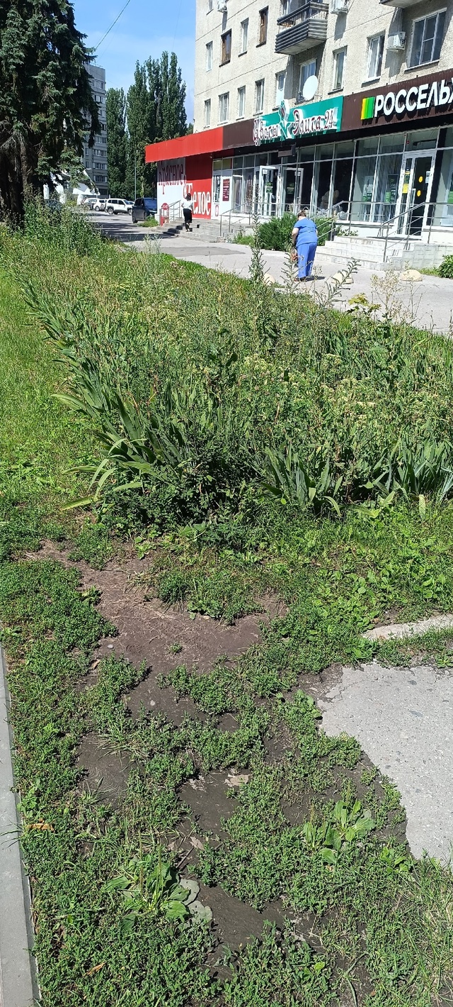 Благоустройство центральной улицы Курчатова! Красота,...