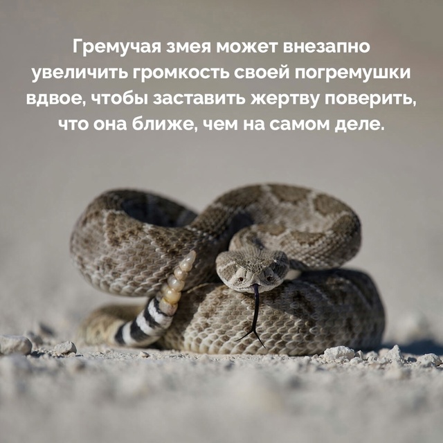 Подборка фактов.