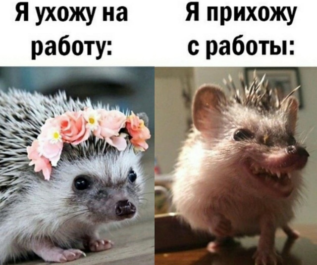 😁Каждое утро в нашем чудесном городе начинается один?...