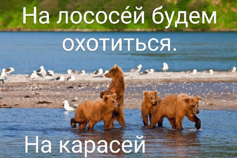 В Интернете появился новый мем