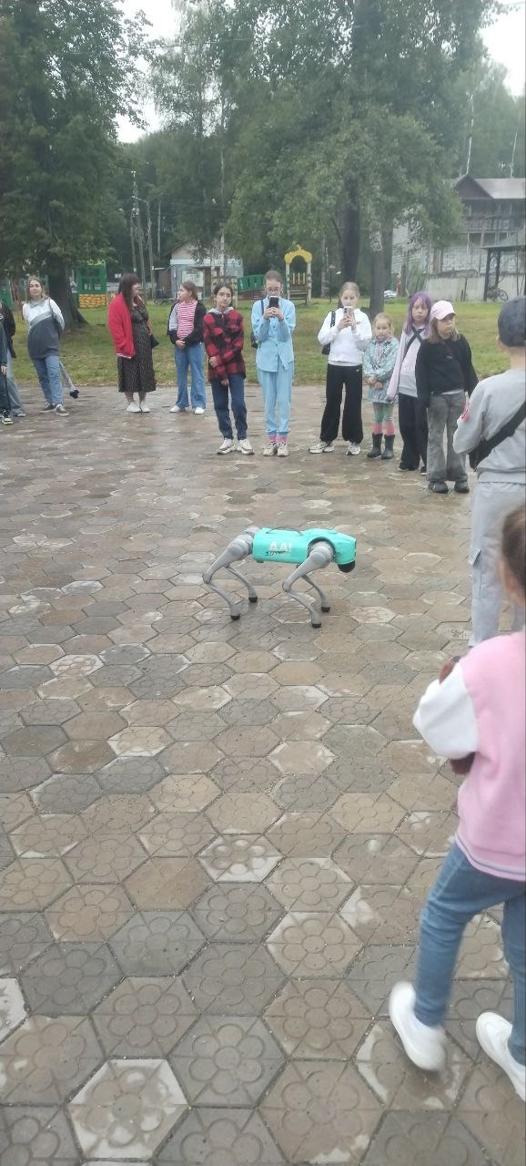Вот такая была робособака на празднике в городском пар...