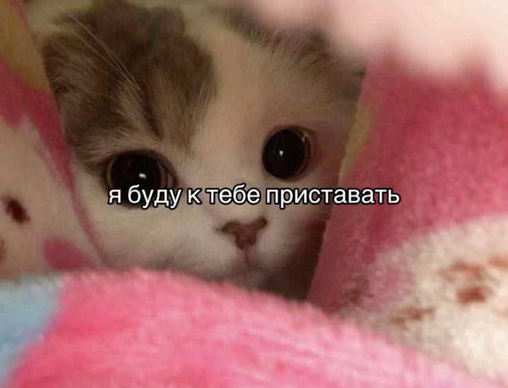 Утренняя подборочка