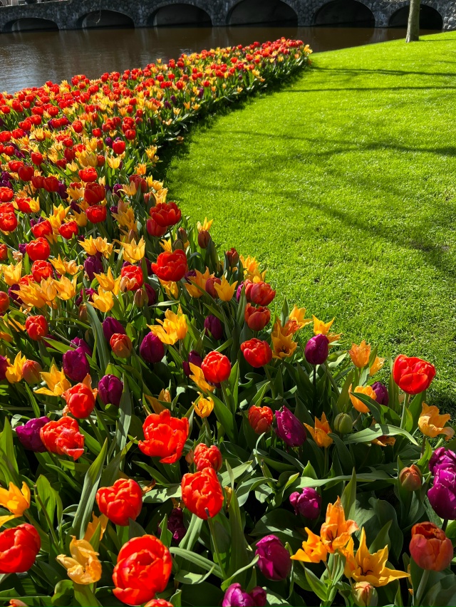 🌍 Сад Кёкенхоф, Нидерланды
Каждую весну Сад Кёкенхоф ...