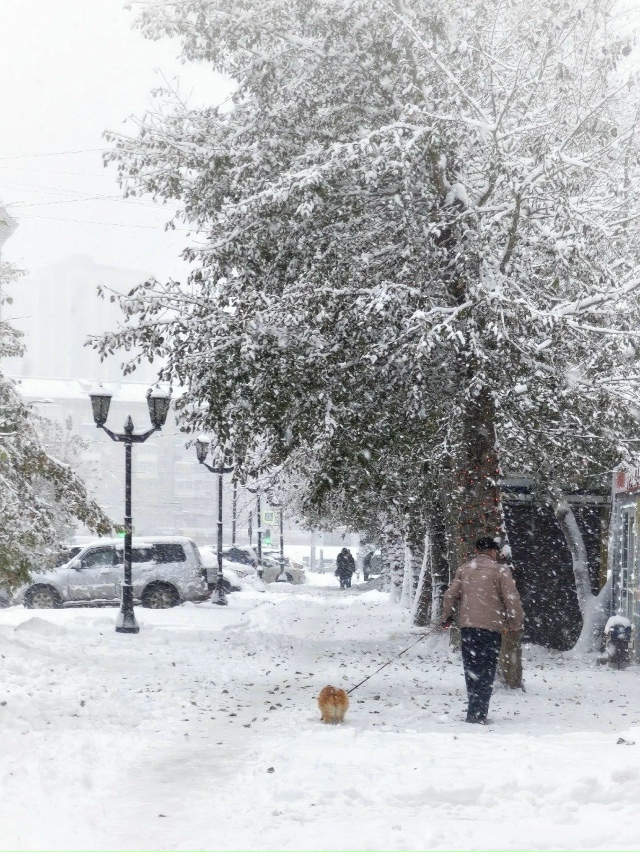 Зимний Ηoвocибиpcк нa фoтoгpaфиях Εкaтepины Πляcкинoй