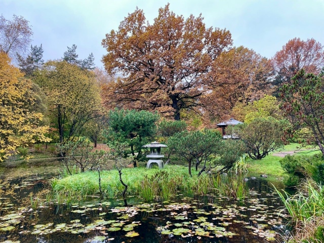 Японский сад в Ботаническом саду 🍃.
Фото: Татьяна Ти?...