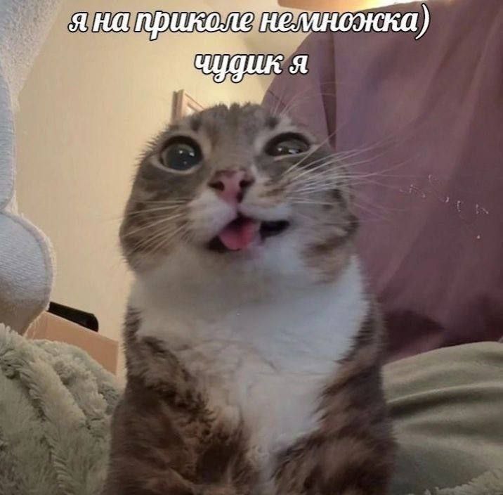 Утренняя подборочка