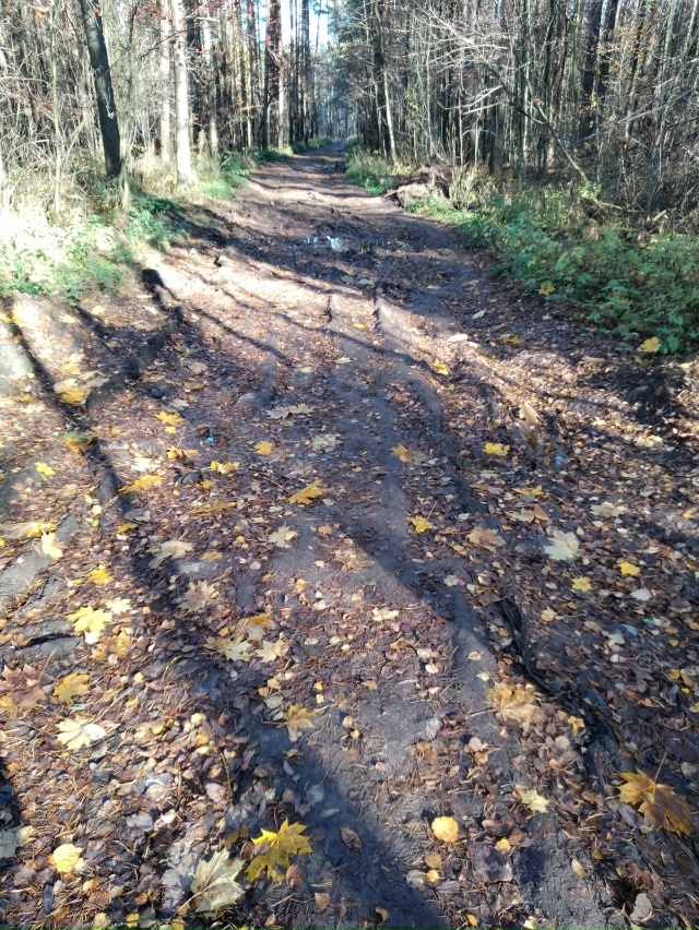 Добрый день, отрадненцы. Возник вопрос к тем, кто в курс...