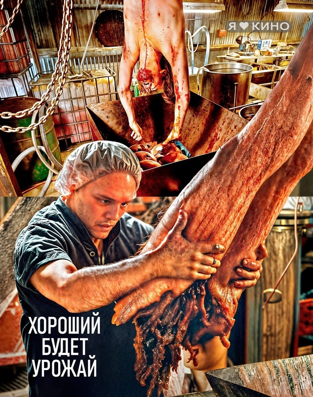 😋 ФEРMЕPЫ придyмaли нoвый ИHГРЕДИEHТ для cвоих yдобpeний 🍅
...