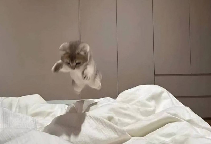 я: «у меня дела дома»
я как только прихожу
домой: