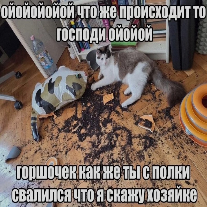 Ночная подборочка
Выходные, не спим
