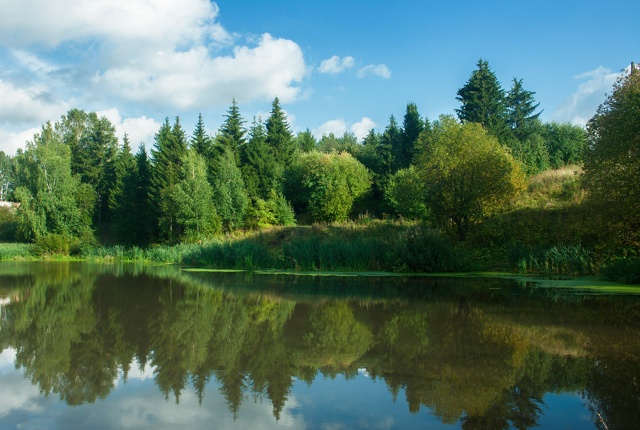 Вот так менялось одно и тоже место в течении месяца (фо?...