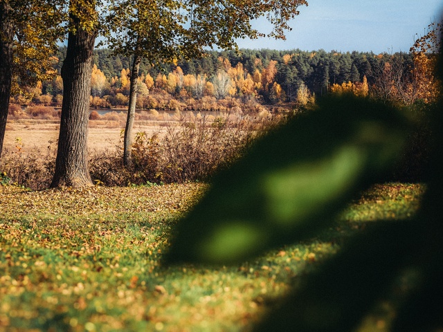 Доброе, осеннее ???
Huawei P60 Pro (lightroom)
#мобильнаяпленка...