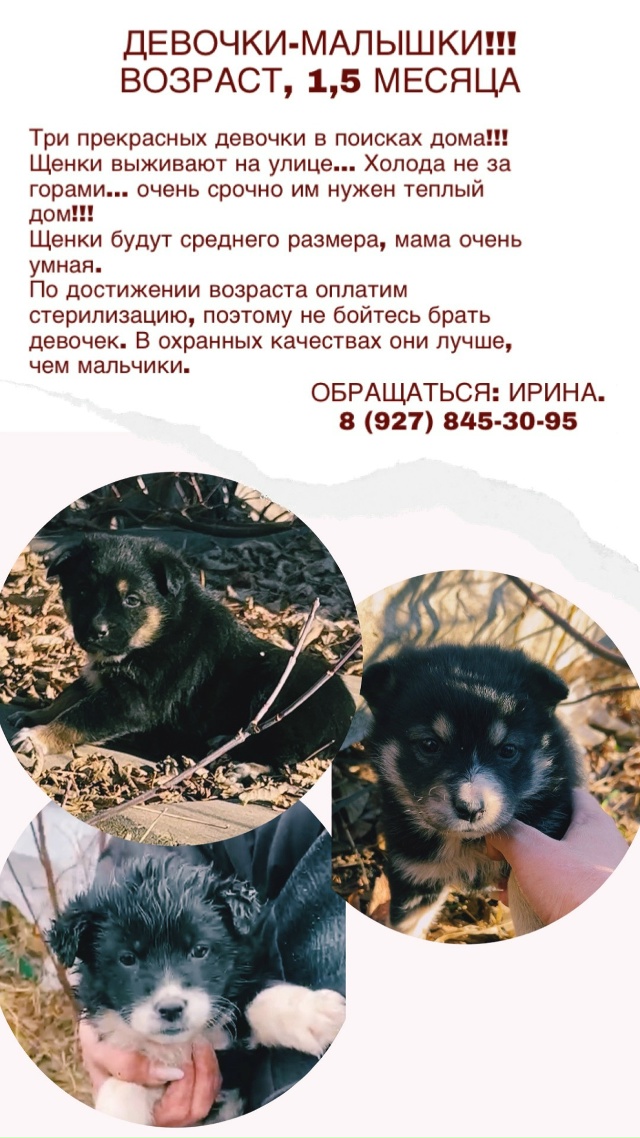 Люди!!! Помогите!!!
Очень верим, что мир не без добрых лю...