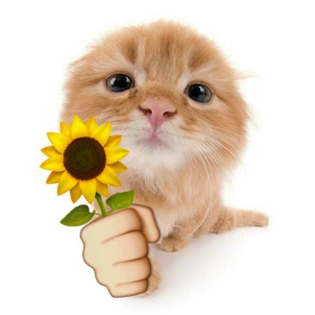 Правильное решение
___
Наконец-то всё сделано именно та?...