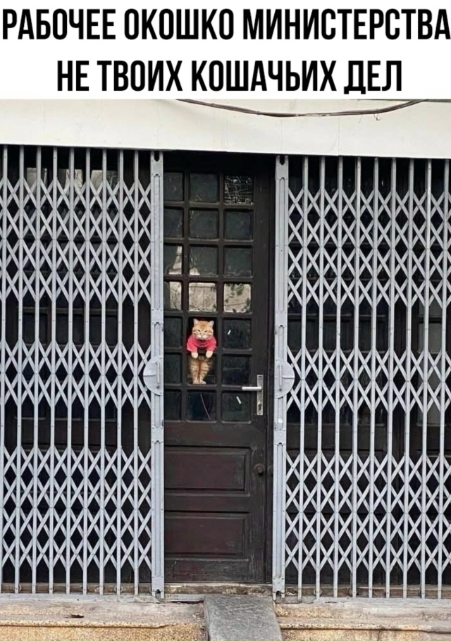 Подсматривающий на районе