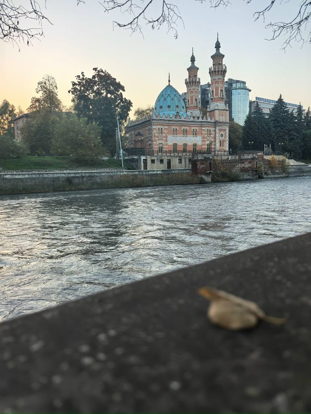 👋 Привет Коврову с Владикавказа. Анон