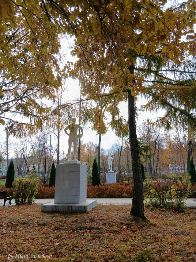 Больничный осенний октябрьский парк.
Отражение дер...