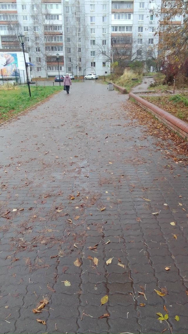 ❗❗❗Позор тем кто должен следить за порядком на алле?...