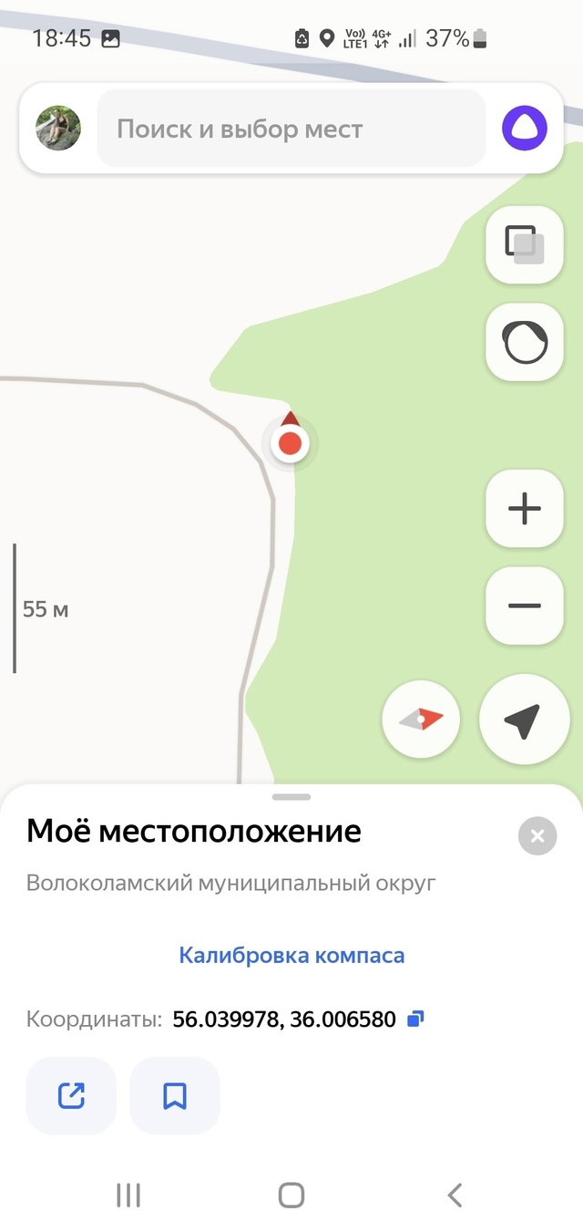 Товарищи, край леса - это не место для свалки!!! Хватит с?...