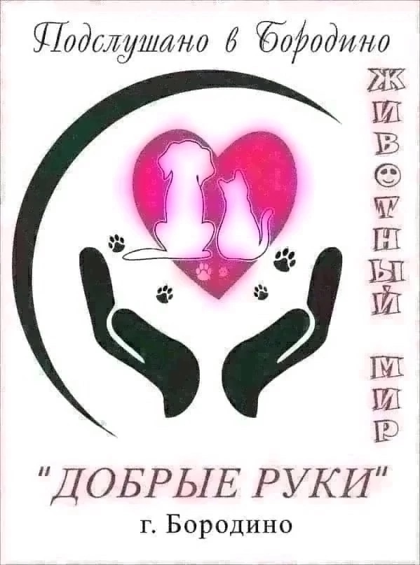 Ежедневный пост ЖИВОТНЫЙ МИР в комментариях этого
пос...