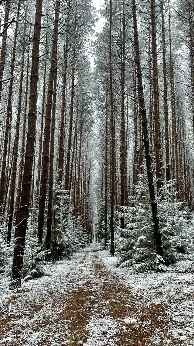 Доброго утра, Никольск❤