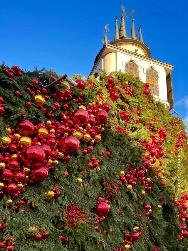 Московский зоопарк 😍
Фото alex_prosekov