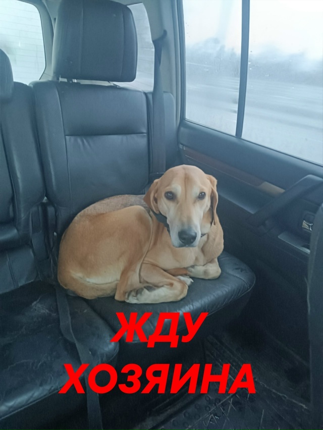 🆘️🆘️🆘️🆘️🆘️🆘️🆘️🆘️🆘️🆘️🆘️🆘️🆘️🆘️
?...