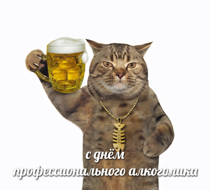 Сегодня отмечается День профессионального алкоголика
