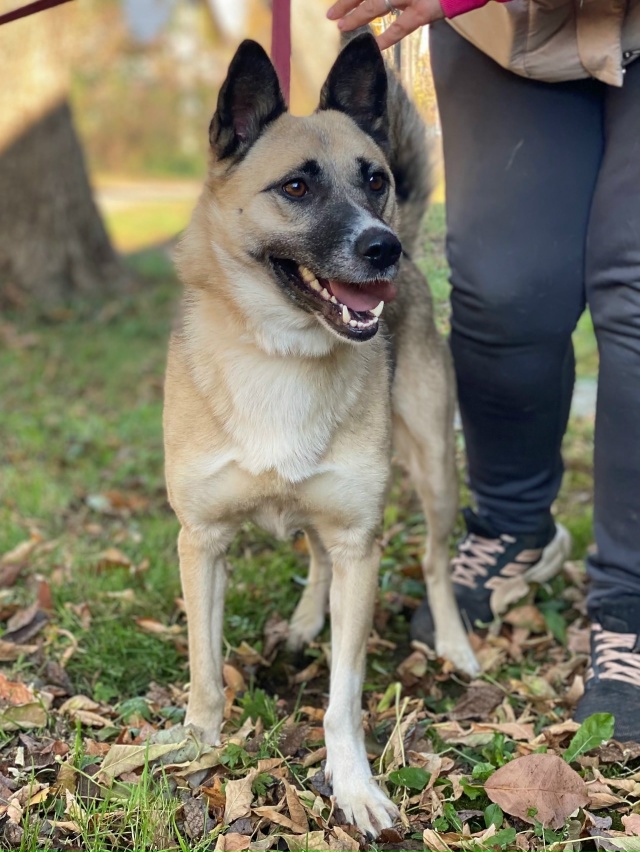 ❤ АЙНА ЖДЕТ СВОЮ СЕМЬЮ
Умная, эмоциональная непоседа п...