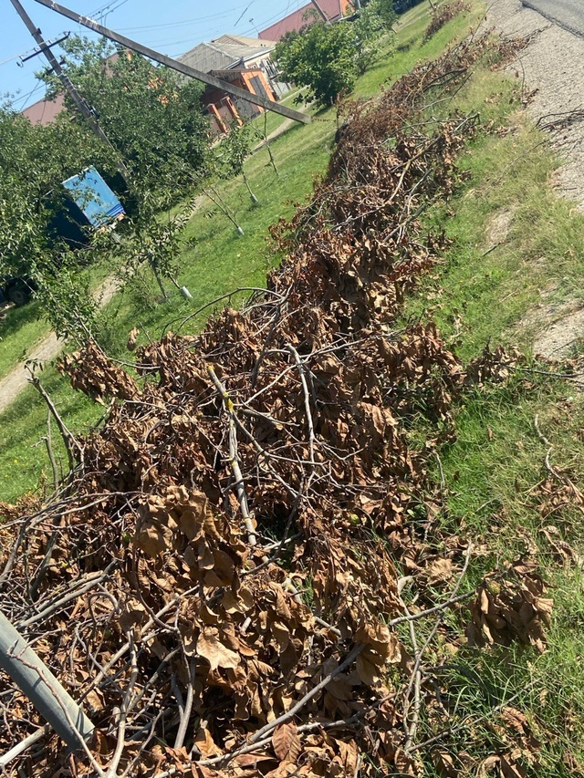 Доброго времени суток, уважаемые жители г. Абинск, в ча?...