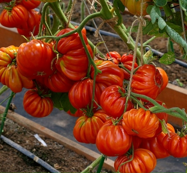 5 декабря пятница, на продовольственной части рынка СЕ?...