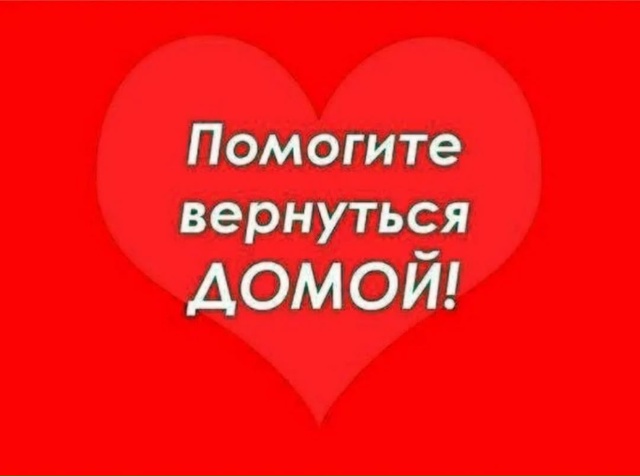 🆘️🆘️🆘️🆘️🆘️🆘️🆘️🆘️🆘️🆘️🆘️🆘️🆘️🆘️??...