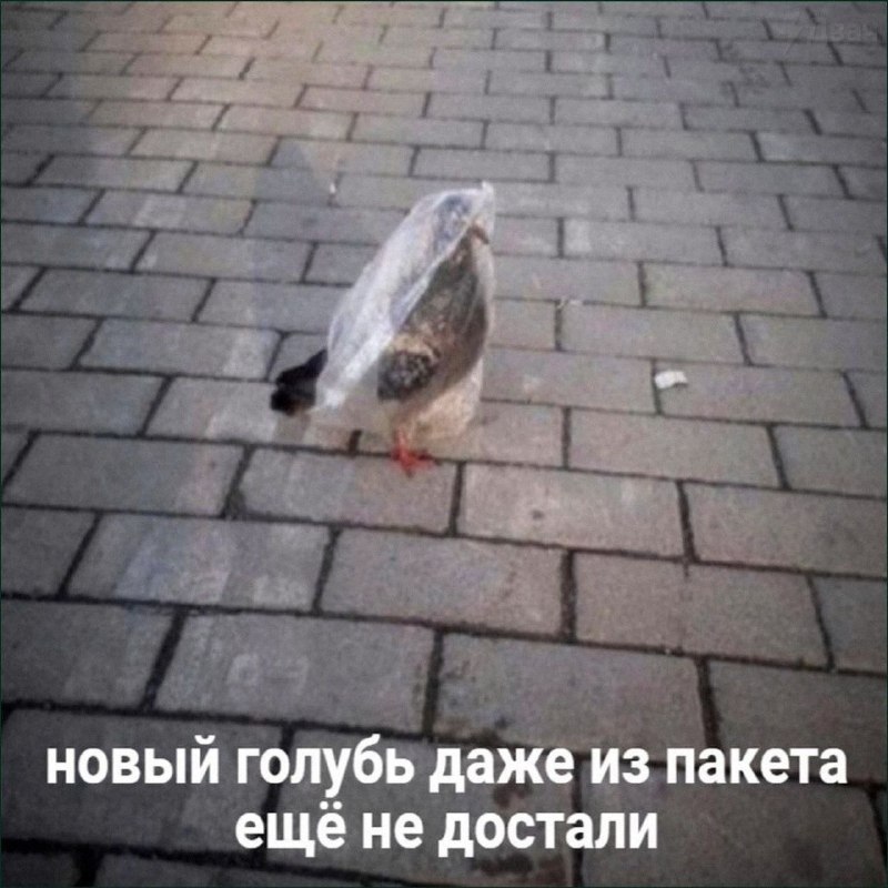 Утренняя подборочка